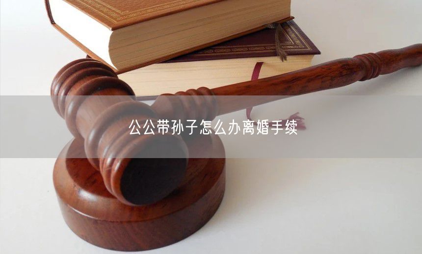 公公带孙子怎么办离婚手续