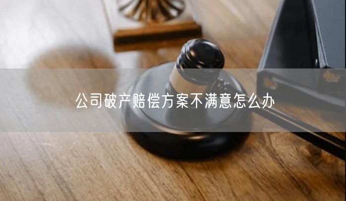 公司破产赔偿方案不满意怎么办